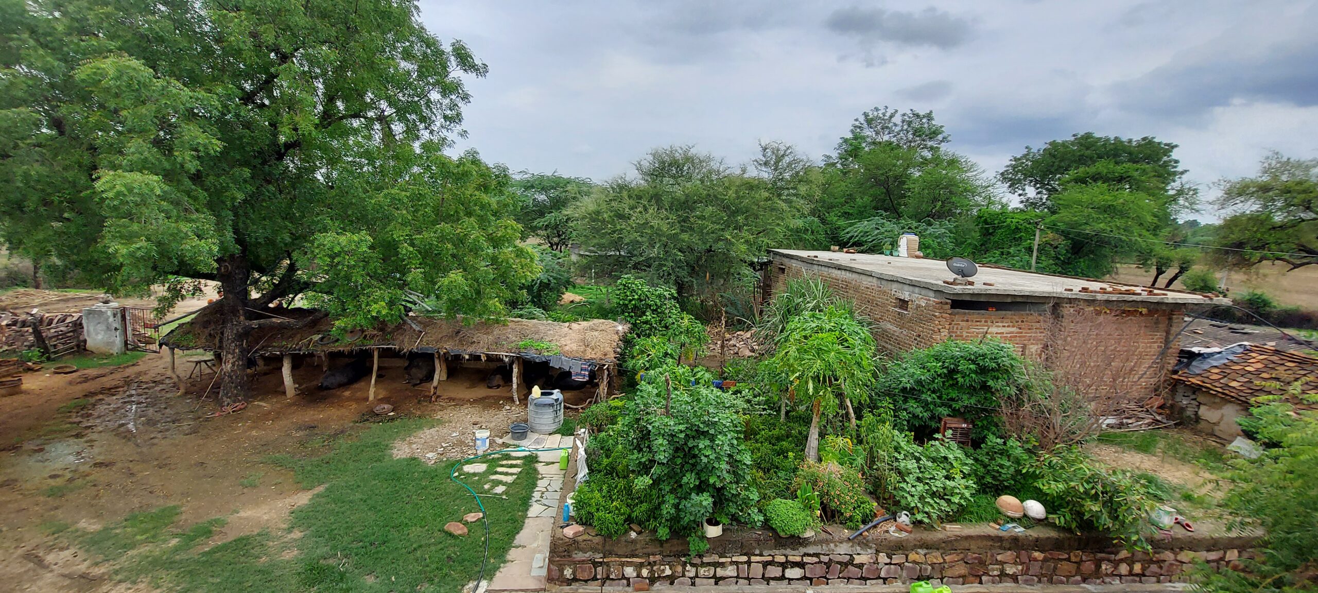 Village Life in Roopura Rajasthan India