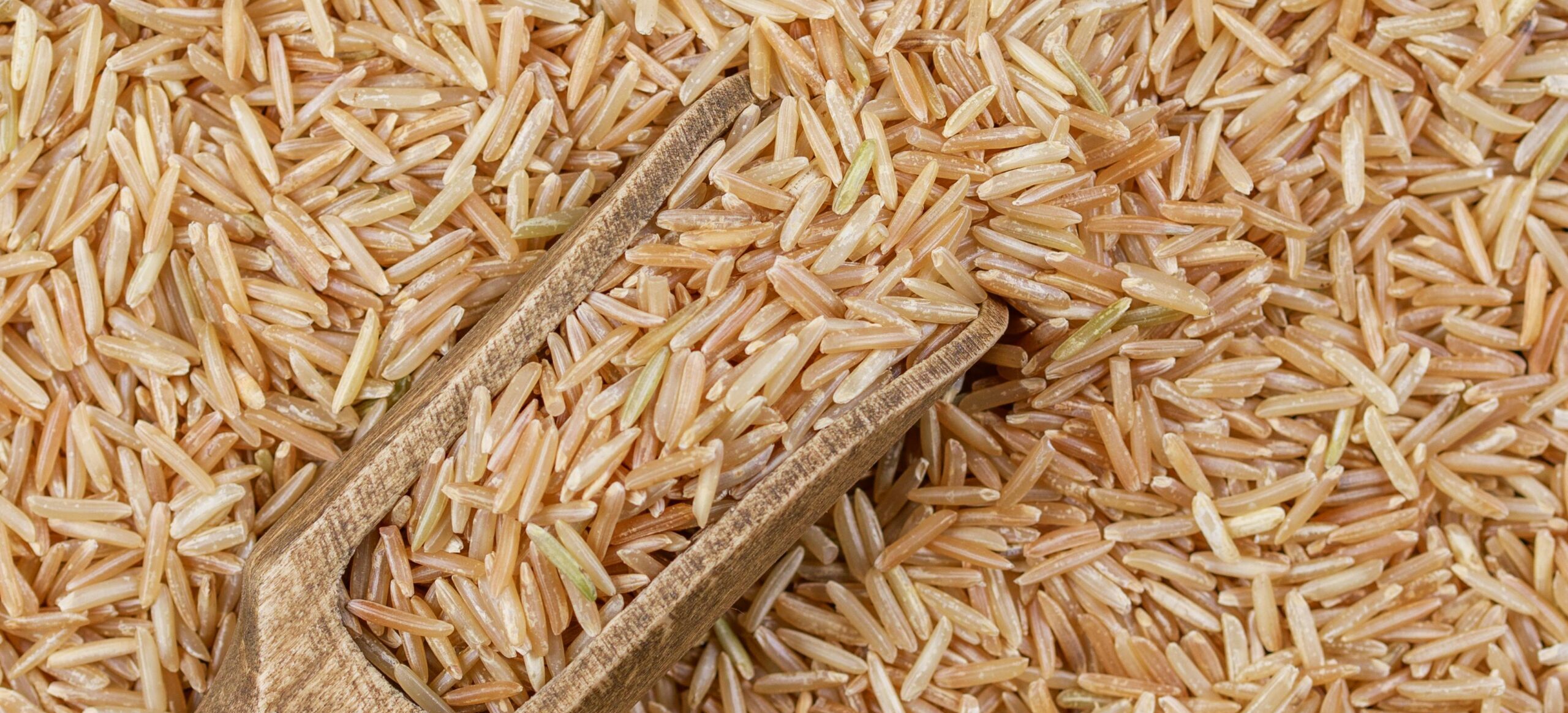 Detailed close-up of organic brown rice grains with a wooden scoop showcasing texture and natural colors.